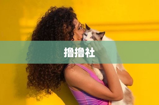 撸撸社