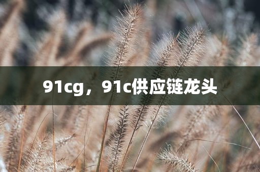 91cg，91c供应链龙头