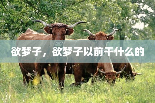 欲梦子，欲梦子以前干什么的