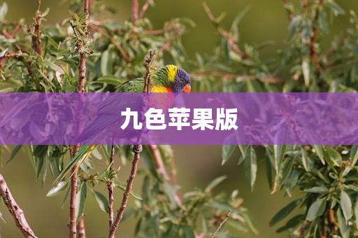 九色苹果版