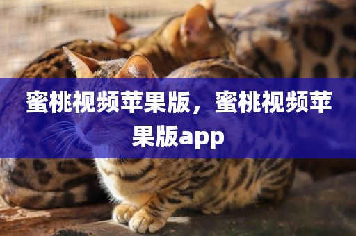 蜜桃视频苹果版，蜜桃视频苹果版app