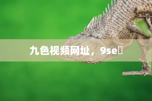 九色视频网址，9se 