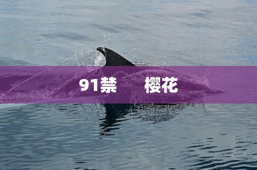 91禁      樱花