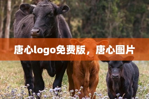 唐心logo免费版，唐心图片