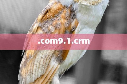 .com9.1.crm