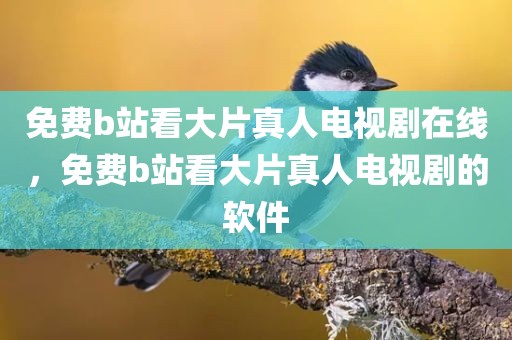 免费b站看大片真人电视剧在线，免费b站看大片真人电视剧的软件