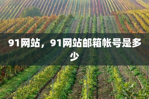 91网站，91网站邮箱帐号是多少