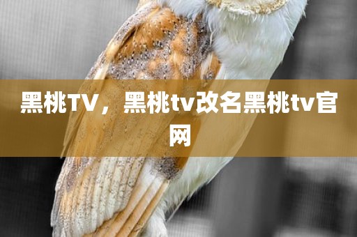 黑桃TV，黑桃tv改名黑桃tv官网