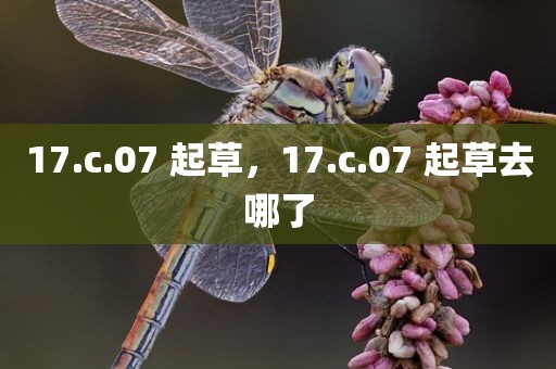 17.c.07 起草，17.c.07 起草去哪了
