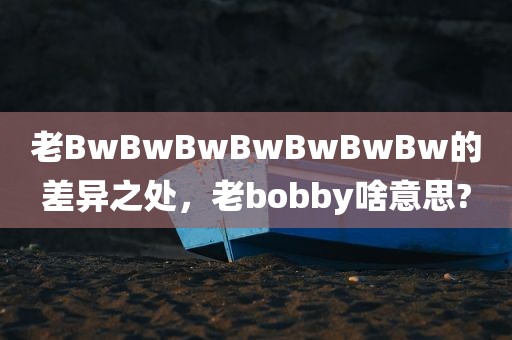 老BwBwBwBwBwBwBw的差异之处，老bobby啥意思?
