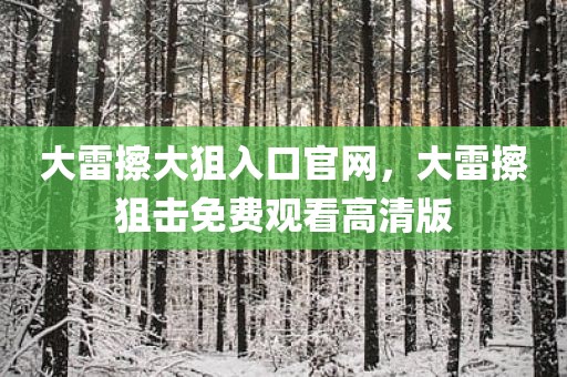 大雷擦大狙入口官网，大雷擦狙击免费观看高清版