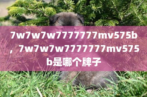 7w7w7w7777777mv575b，7w7w7w7777777mv575b是哪个牌子