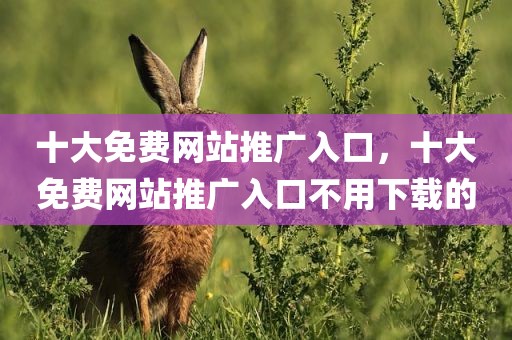 十大免费网站推广入口，十大免费网站推广入口不用下载的