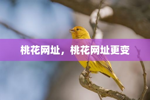 桃花网址，桃花网址更变