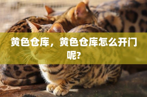 黄色仓库，黄色仓库怎么开门呢?