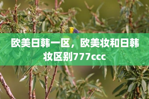 欧美日韩一区，欧美妆和日韩妆区别777ccc