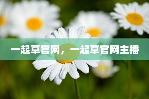 一起草官网，一起草官网主播