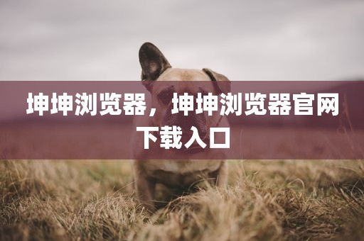 坤坤浏览器，坤坤浏览器官网下载入口