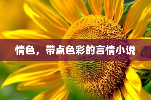 情色，带点色彩的言情小说