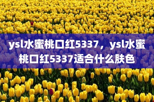ysl水蜜桃口红5337，ysl水蜜桃口红5337适合什么肤色