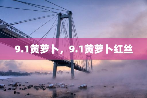 9.1黄萝卜，9.1黄萝卜红丝