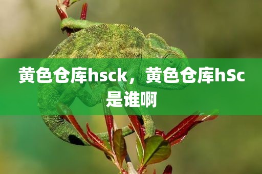黄色仓库hsck，黄色仓库hSc是谁啊