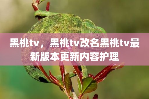 黑桃tv，黑桃tv改名黑桃tv最新版本更新内容护理
