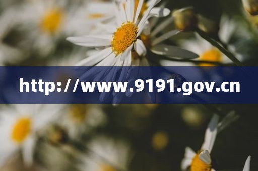 http://www.9191.gov.cn