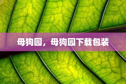 母狗园，母狗园下载包装