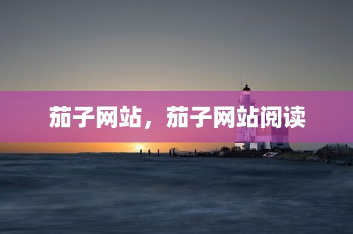 茄子网站，茄子网站阅读