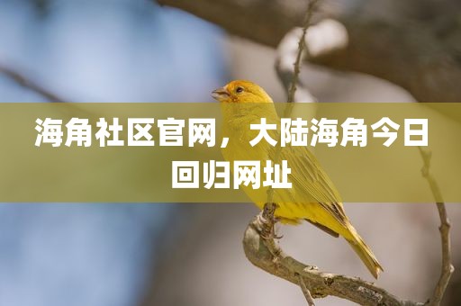 海角社区官网，大陆海角今日回归网址