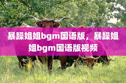 暴躁姐姐bgm国语版，暴躁姐姐bgm国语版视频