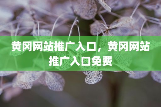 黄冈网站推广入口，黄冈网站推广入口免费