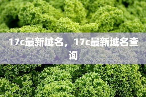 17c最新域名，17c最新域名查询