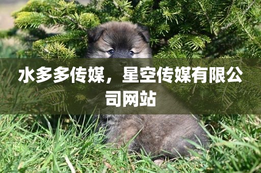 水多多传媒，星空传媒有限公司网站