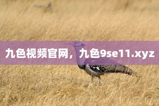 九色视频官网，九色9se11.xyz