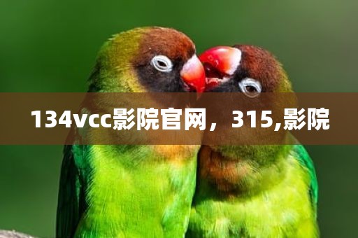 134vcc影院官网，315,影院