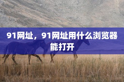 91网址，91网址用什么浏览器能打开