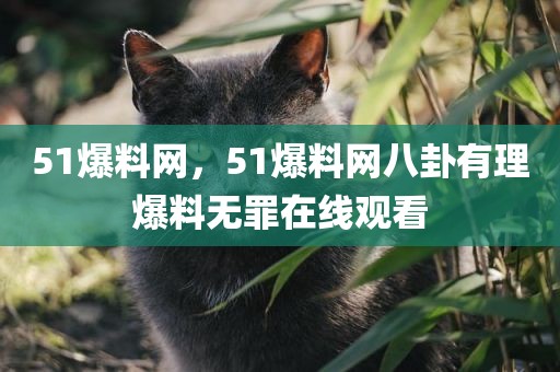 51爆料网，51爆料网八卦有理爆料无罪在线观看