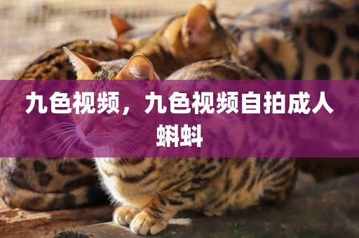 九色视频，九色视频自拍成人蝌蚪