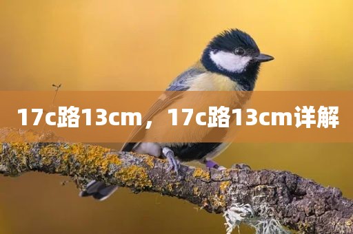 17c路13cm，17c路13cm详解