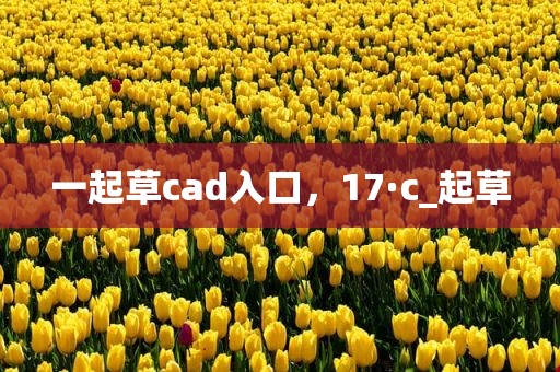 一起草cad入口，17·c_起草