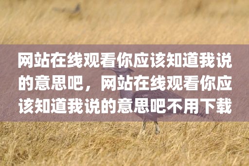 网站在线观看你应该知道我说的意思吧，网站在线观看你应该知道我说的意思吧不用下载