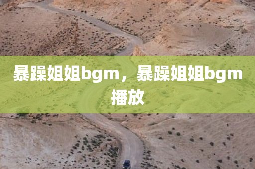 暴躁姐姐bgm，暴躁姐姐bgm播放