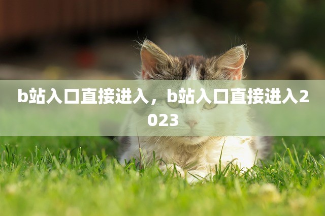b站入口直接进入，b站入口直接进入2023