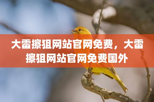 大雷擦狙网站官网免费，大雷擦狙网站官网免费国外