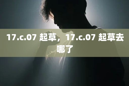 17.c.07 起草，17.c.07 起草去哪了