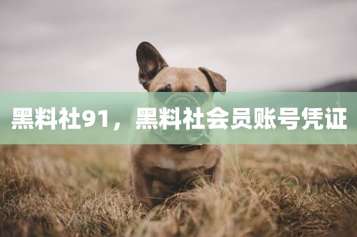 黑料社91，黑料社会员账号凭证