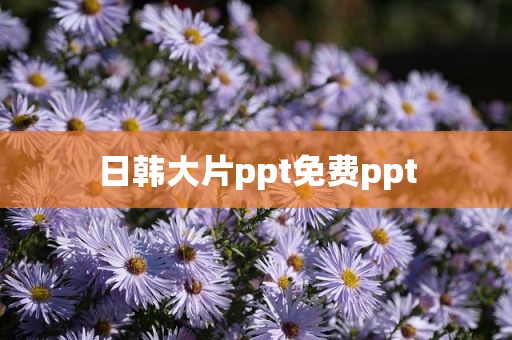 日韩大片ppt免费ppt
