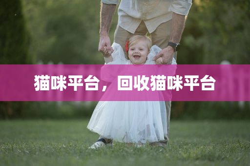 猫咪平台，回收猫咪平台